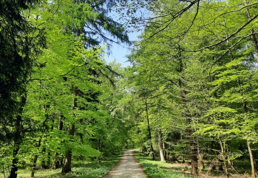 Nouvelles d’Allemagne  – 2